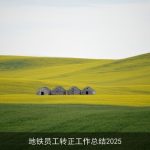 地铁员工转正工作总结2025