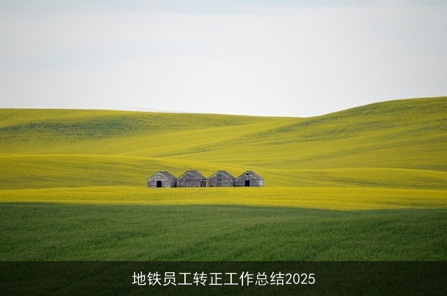 地铁员工转正工作总结2025