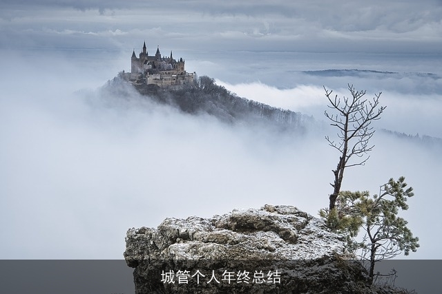 城管个人年终总结