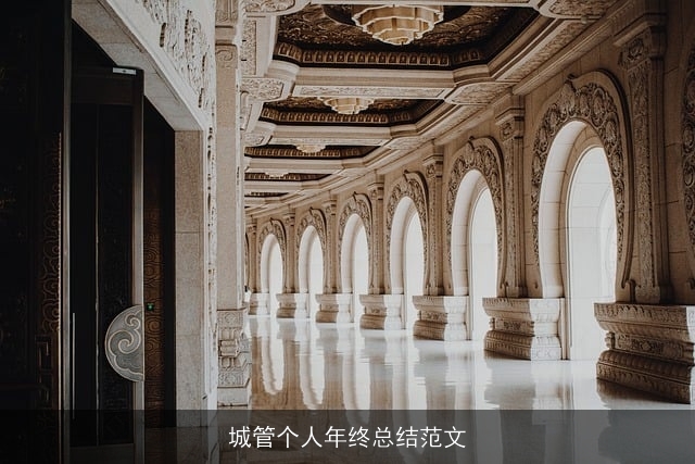 城管个人年终总结范文