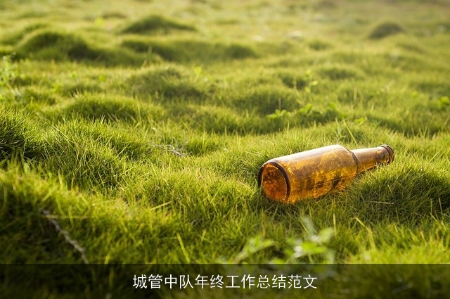 城管中队年终工作总结范文