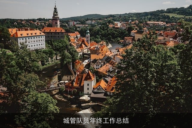 城管队员年终工作总结
