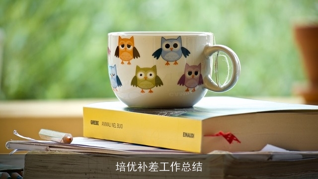 培优补差工作总结