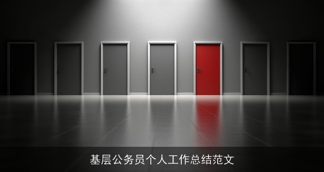 基层公务员个人工作总结范文
