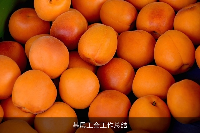 基层工会工作总结