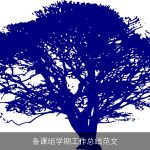 备课组学期工作总结范文