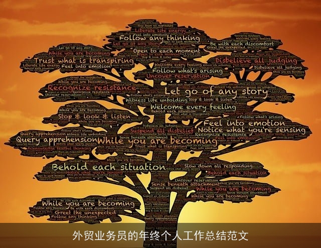 外贸业务员的年终个人工作总结范文