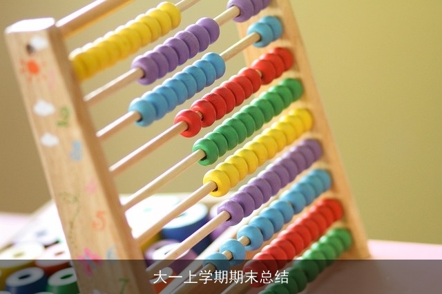 大一上学期期末总结