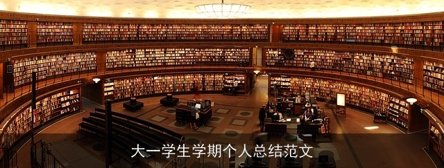 大一学生学期个人总结范文