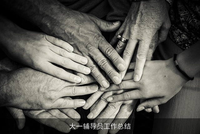 大一辅导员工作总结