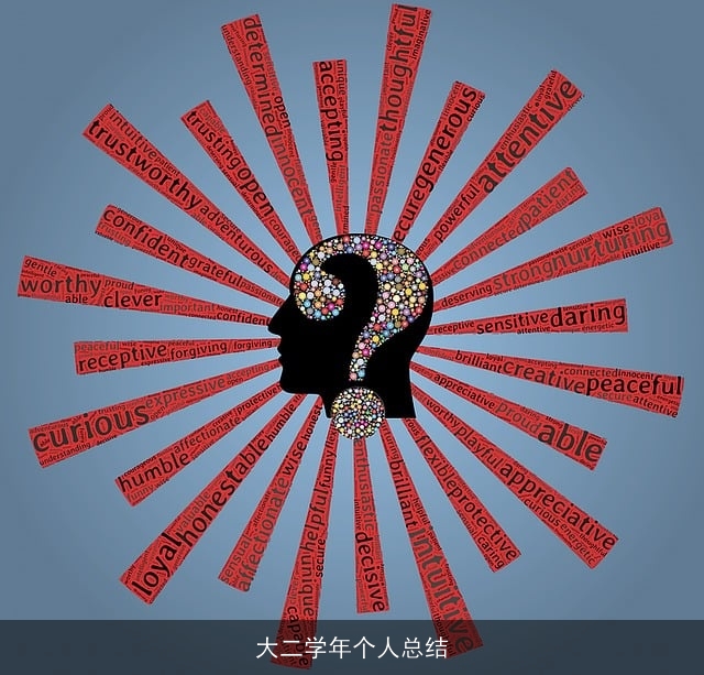 大二学年个人总结