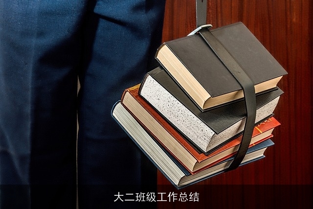 大二班级工作总结
