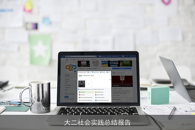 大二社会实践总结报告