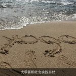 大学暑期社会实践总结