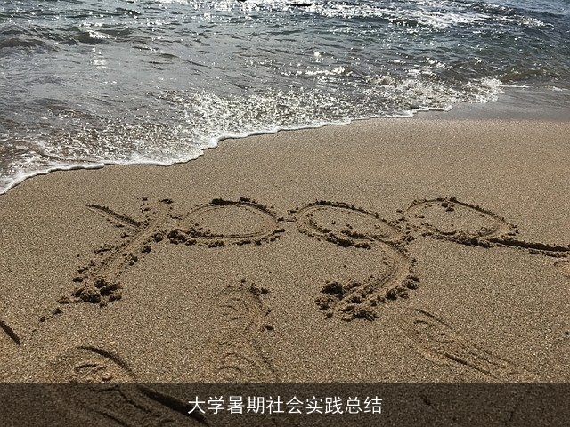 大学暑期社会实践总结