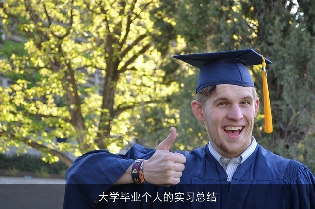 大学毕业个人的实习总结