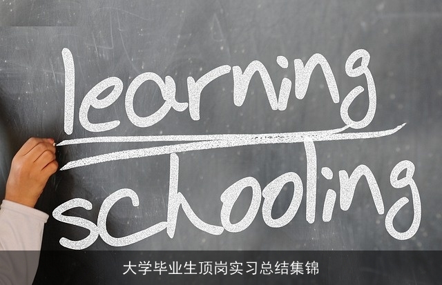 大学毕业生顶岗实习总结集锦