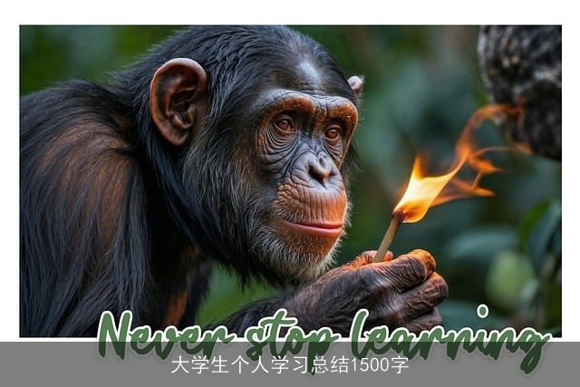 大学生个人学习总结1500字