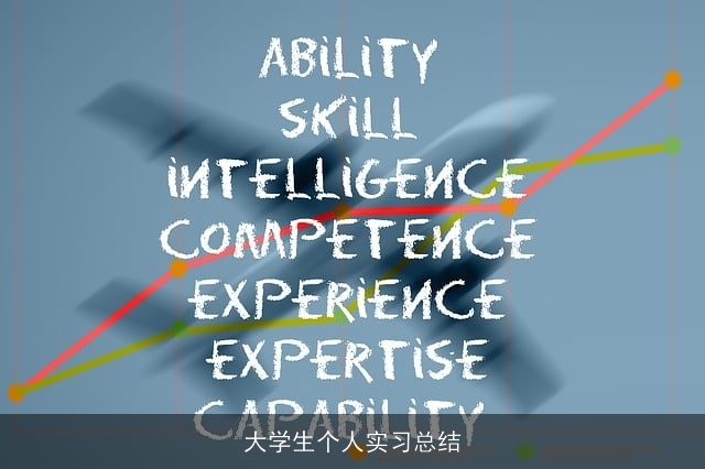 大学生个人实习总结
