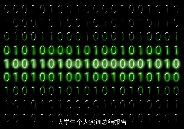 大学生个人实训总结报告