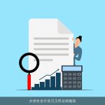 大学生会计实习工作总结报告