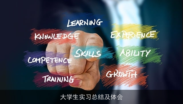 大学生实习总结及体会
