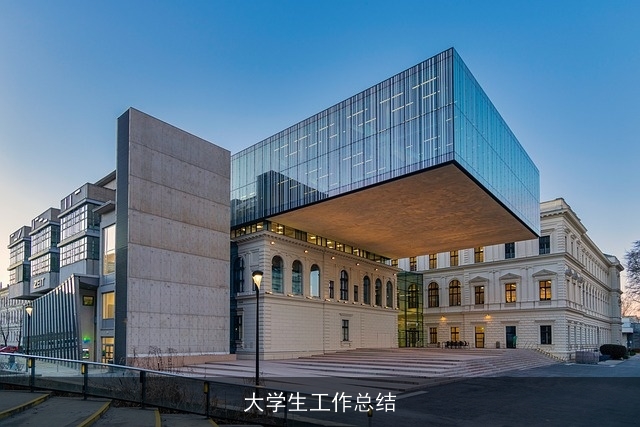 大学生工作总结