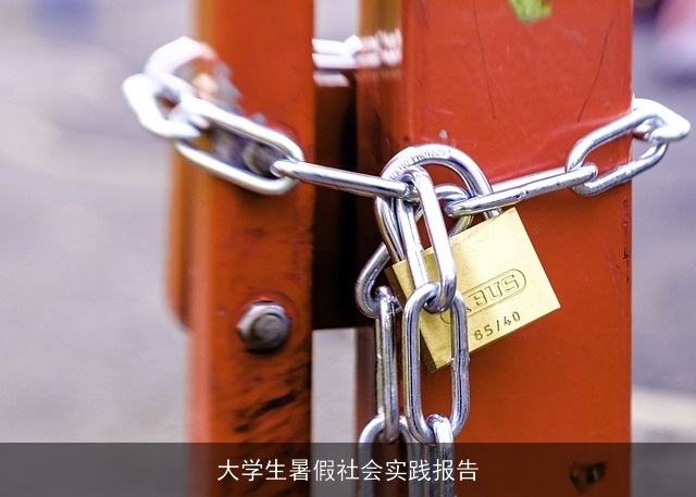 大学生暑假社会实践报告