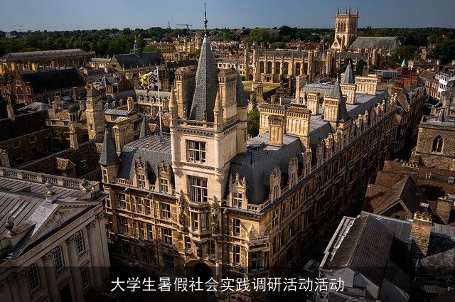 大学生暑假社会实践调研活动活动