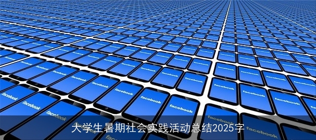 大学生暑期社会实践活动总结2025字
