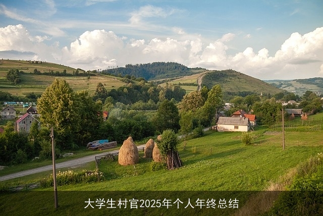 大学生村官2025年个人年终总结