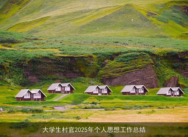大学生村官2025年个人思想工作总结