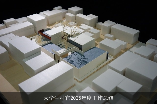 大学生村官2025年度工作总结