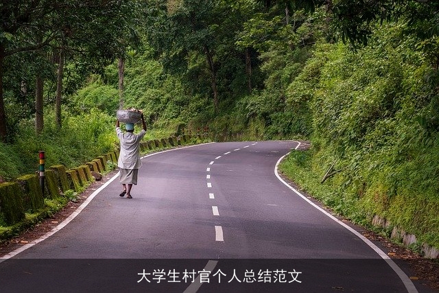 大学生村官个人总结范文