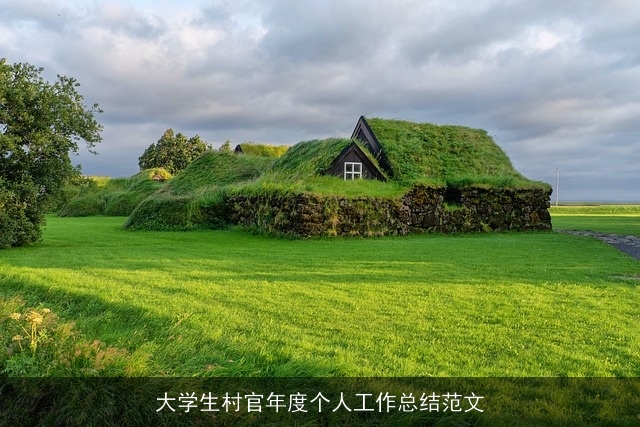 大学生村官年度个人工作总结范文