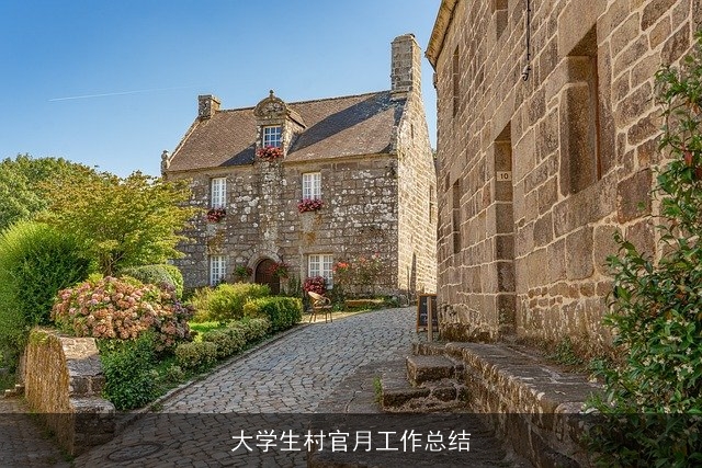 大学生村官月工作总结