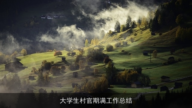 大学生村官期满工作总结