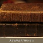 大学生毕业实习报告总结