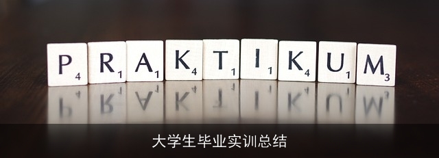 大学生毕业实训总结