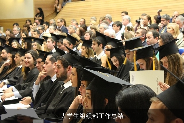 大学生组织部工作总结
