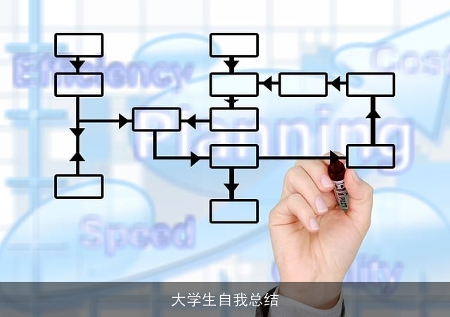 大学生自我总结