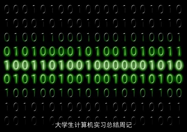 大学生计算机实习总结周记