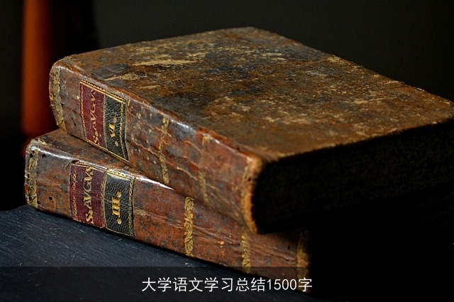 大学语文学习总结1500字