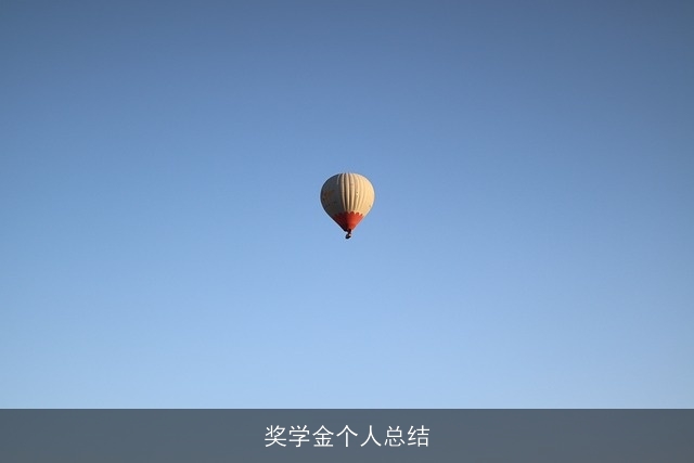 奖学金个人总结