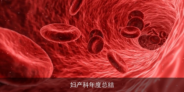 妇产科年度总结