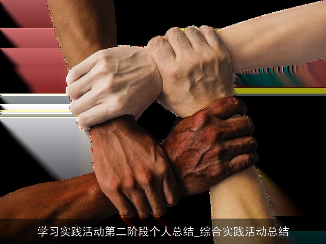 学习实践活动第二阶段个人总结_综合实践活动总结