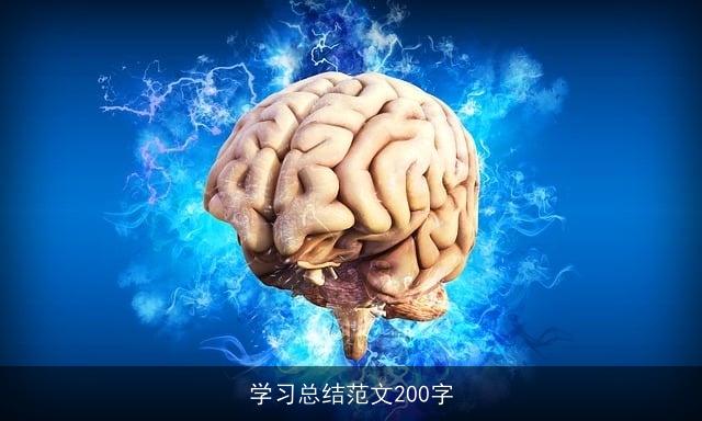 学习总结范文200字