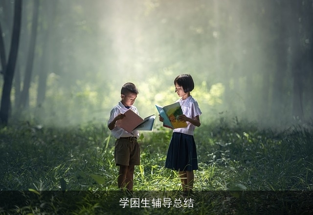 学困生辅导总结