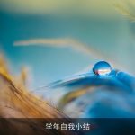 学年自我小结