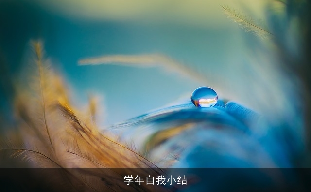 学年自我小结